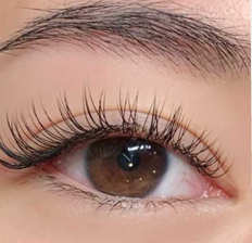 Classic Eyelash Extension